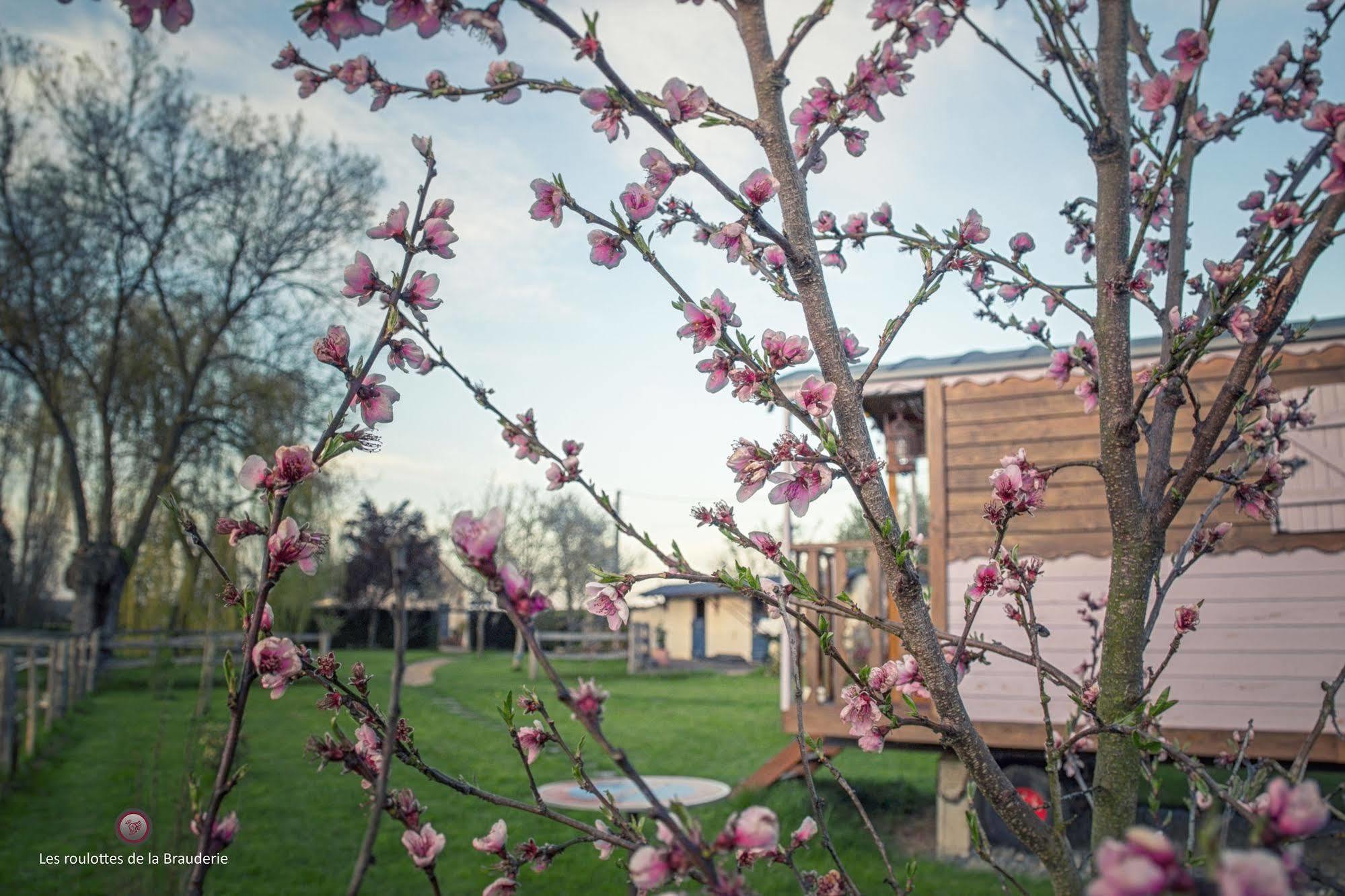 Les Roulottes De La Brauderie Vila Brissarthe Exterior foto