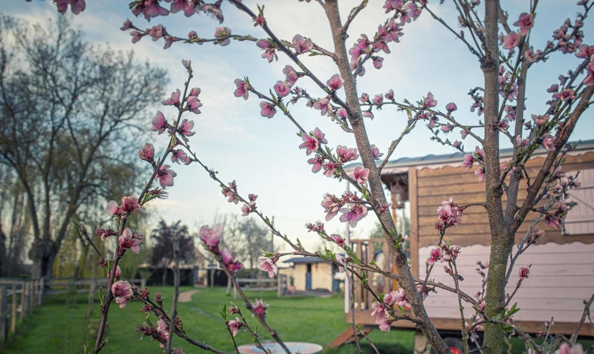 Les Roulottes De La Brauderie Vila Brissarthe Exterior foto